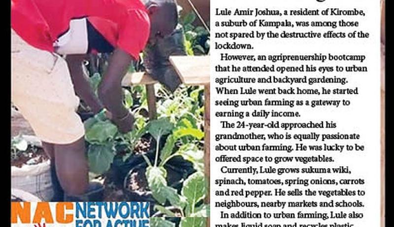 Lule harvesting vegetables in his garden