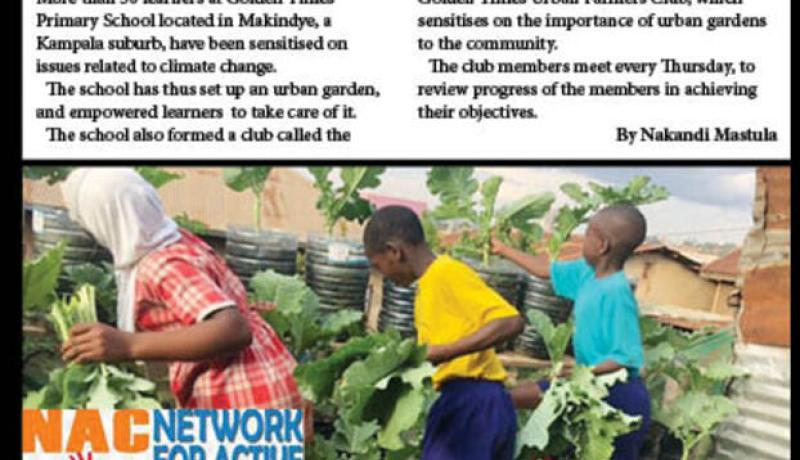 Golden Times Primary School pupils harvesting vegetables from their urban garden