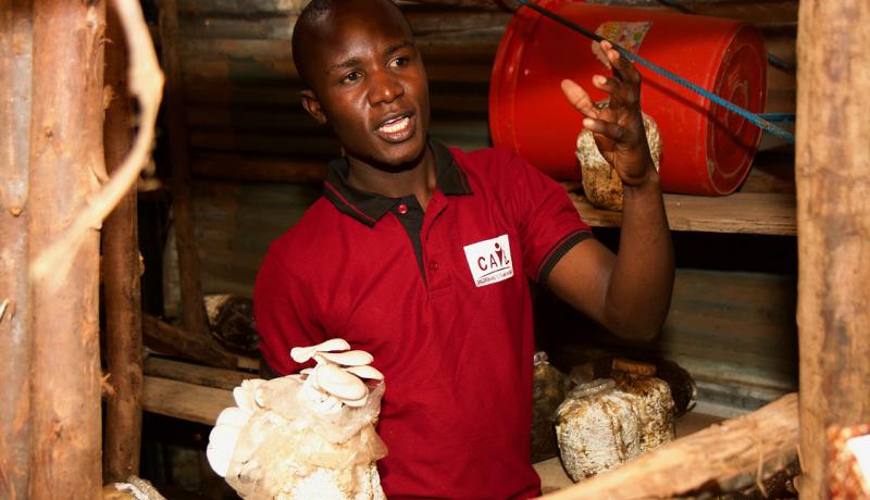 growing mushrooms in bags