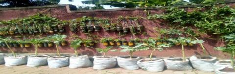 Photos: In Kamwanyi, Kampala 