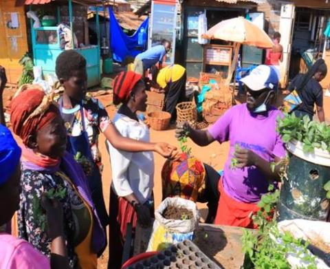 Supplying seedlings to residents to plant