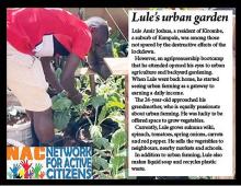  Lule harvesting vegetables in his garden