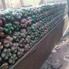 Using plastic bricks for construction