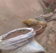 The bags where usinguzi plants his vegetables